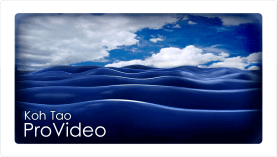 Underwater videography training