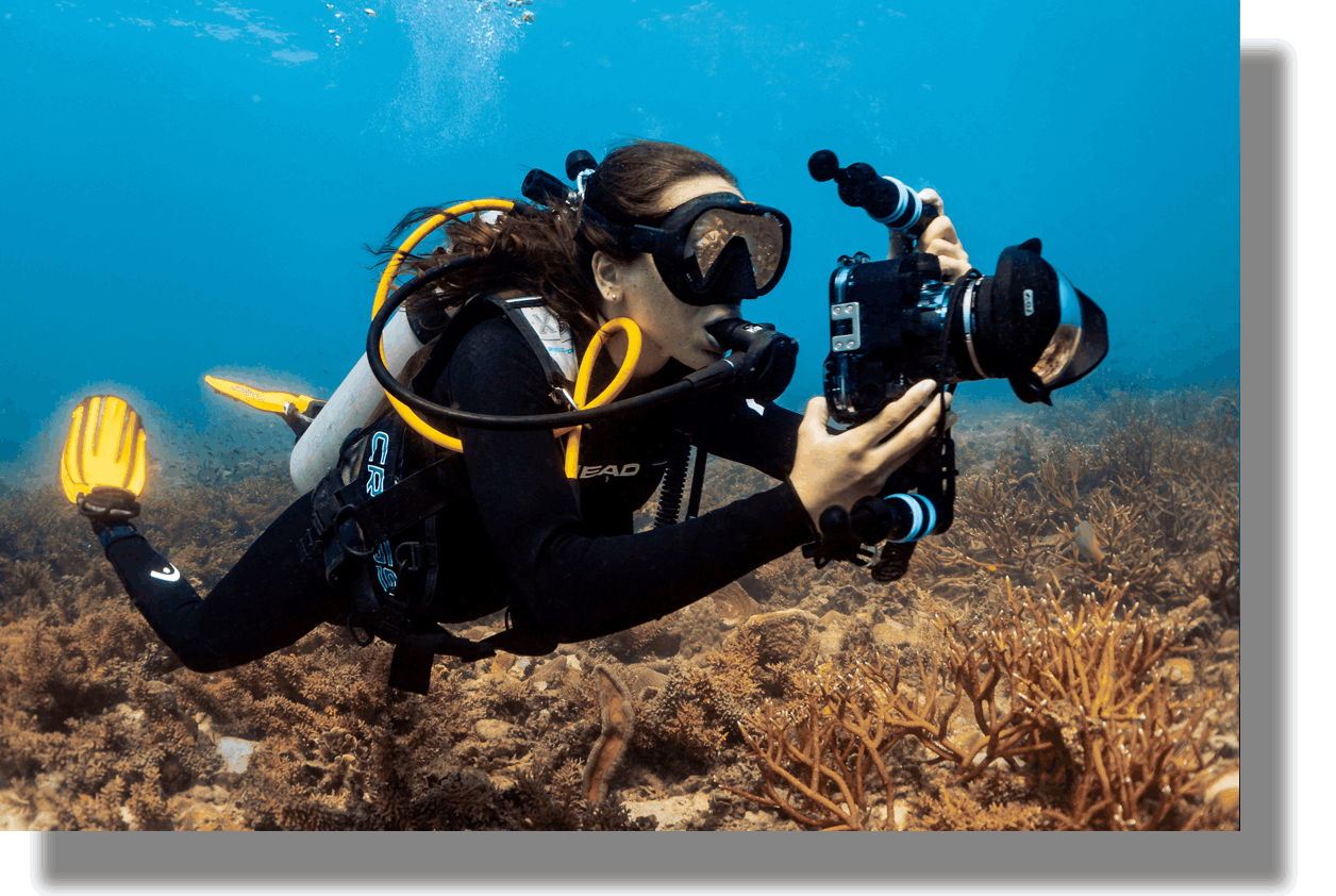 underwater videography training courses