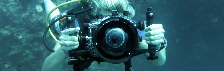 Koh Tao PROvideo professional underwater video cameras